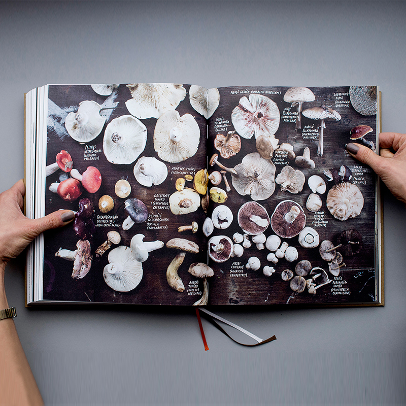 linen cover photo book